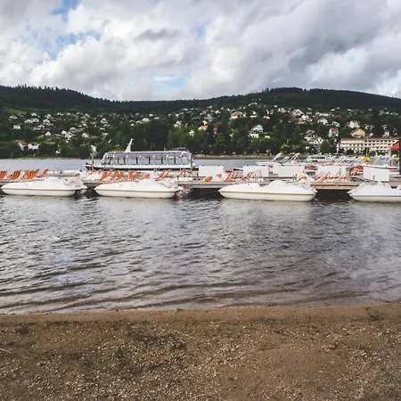 Apartment Le Chale Heureux Gerardmer