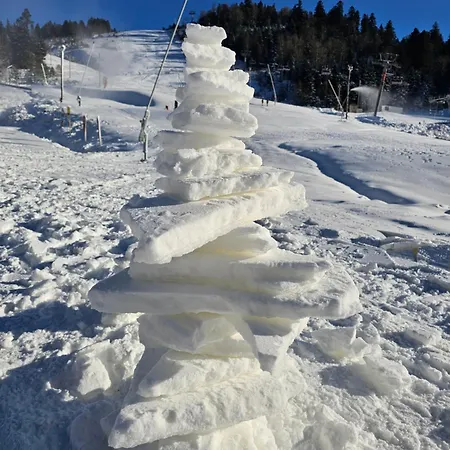 Le Chale Heureux Gerardmer