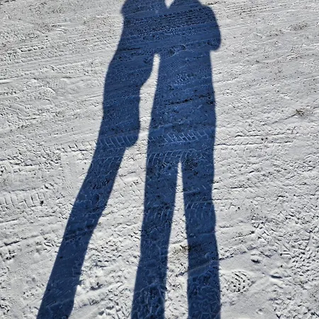 Le Chale Heureux Gérardmer