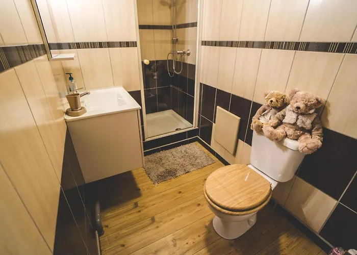 Le Chale Heureux جوراردُميه