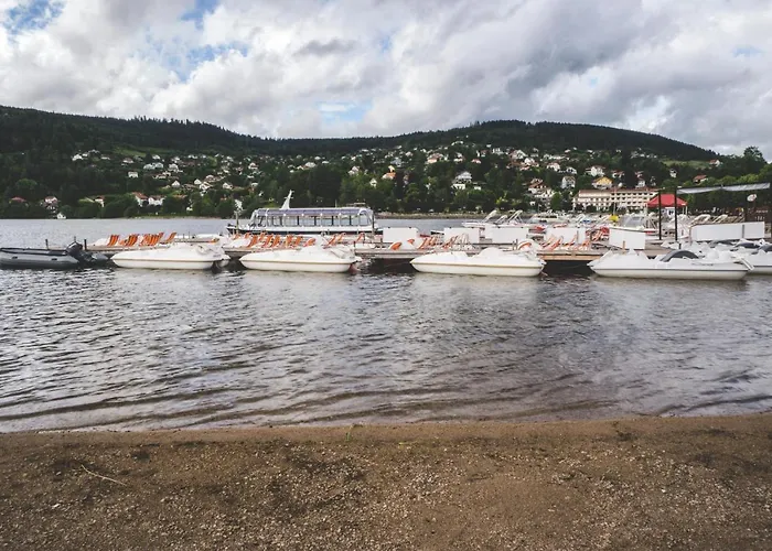 شقة Le Chale Heureux جوراردُميه