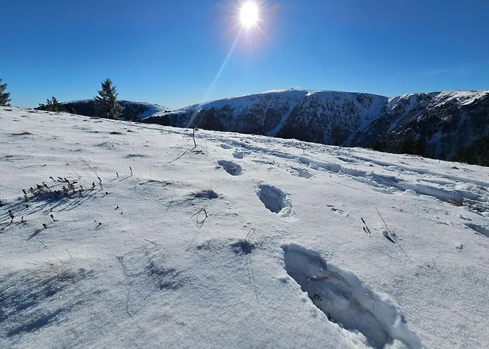Le Chale Heureux شقة